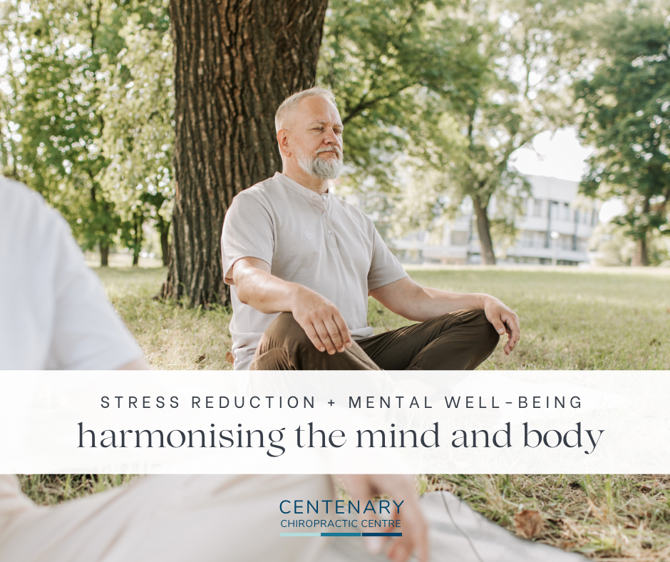 Harmonising the Mind and Body: Chiropractic Care for Stress Reduction and Mental Well-Being 