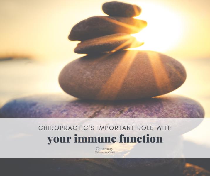 Chiropractic’s important role with your Immune Function