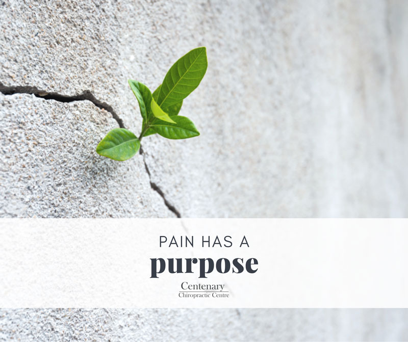  YOUR PAIN HAS A PURPOSE 